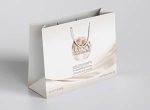 چاپ شاپینگ بگ